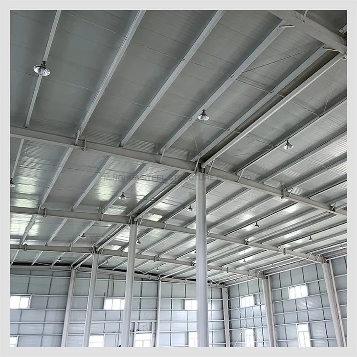 Steel Structure Food Workshop
