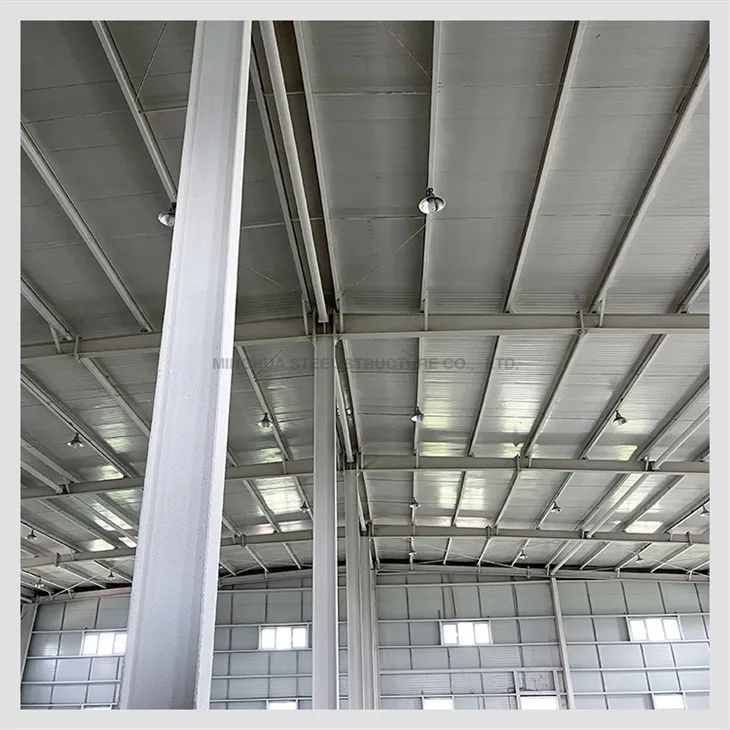 Steel Structure Food Workshop