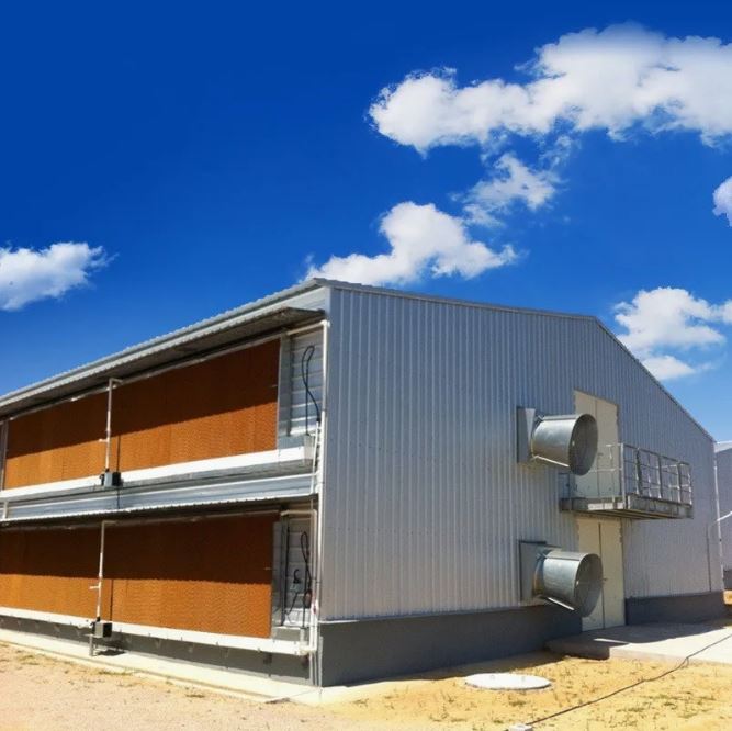 A Poultry Farm